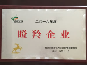 武汉环亚币游国际光电入选光谷2016年“瞪羚企业”